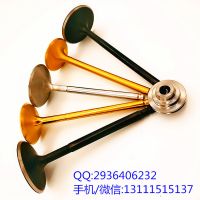 厂家现货供应生产各种进排气门适用康明斯QSK195 51*11*203