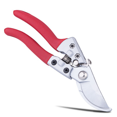 专业园林园艺剪刀园丁剪花枝修剪树枝剪刀果枝剪修花剪刀修枝剪刀