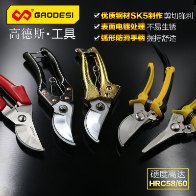 修剪树枝剪刀 修枝剪 果枝剪 果树修花剪刀 粗枝剪 园艺工具剪子