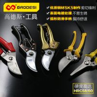 修剪树枝剪刀 修枝剪 果枝剪 果树修花剪刀 粗枝剪 园艺工具剪子