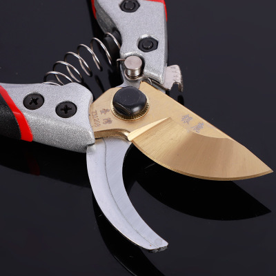 厂家货源果枝剪果树剪枝省力修枝剪园林工具省力果枝剪园艺修枝剪