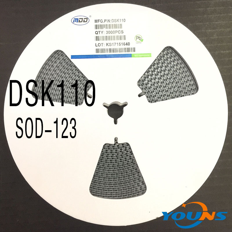DSK110