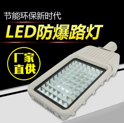 单双臂LED防爆路灯 6米防爆路灯 8米防爆路灯质保3年80W 100W