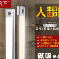 丽匠 LED人体感应灯90度发光薄款常亮智能LED起夜充电衣柜灯