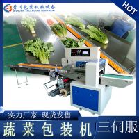 厂家直供蔬菜包装机蔬菜瓜果打包机自动感应打孔贴标叶菜包装机械