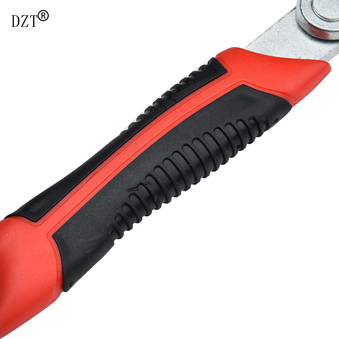 5162865598_1402276318