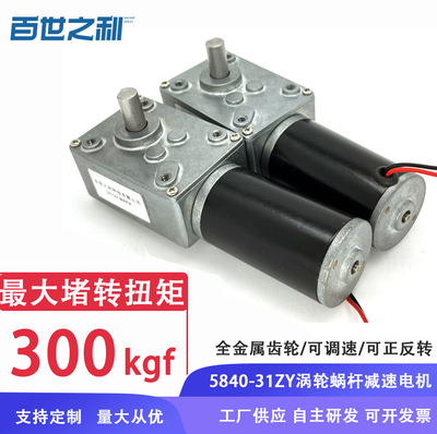 厂家5840涡轮蜗杆微型减速电机31ZY直流12V24V大功率搅拌机电机
