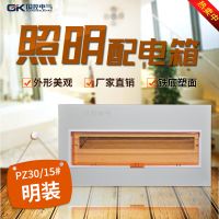 厂家配电箱15回路家用强电铁皮塑面室内大型明暗PZ30照明配电箱