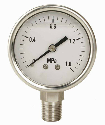 高抗硫压力表，耐硫压力表 欢迎来电咨询