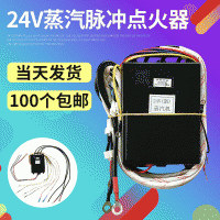 厂家供应 蒸汽机脉冲点火器 双24V蒸汽机脉冲 厨房电子脉冲点火器
