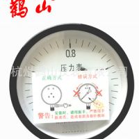 月销1000台储气罐压力表 杭州鹳山 Y100Z 0-1.6MPA 0-2.5MPA