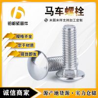 镀锌马车螺栓 半圆头方颈螺栓 不锈钢桥梁马车螺丝达克罗桥架螺栓