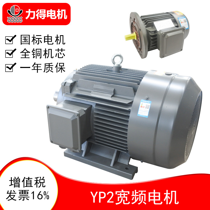宽频调速电机 YP2系列 三相异步交流电动机 厂家现货力得电机