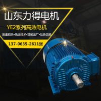 厂家现货供应YE2-225M-2极-45kw三相异步电动机 高效节能电动机