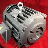 定制出口电压 非标电压油泵专用电机