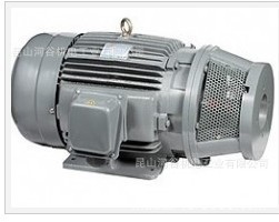 台湾群策SY油泵电机，长嘴电机，油压马达，内轴马达