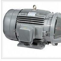 台湾群策SY油泵电机，长嘴电机，油压马达，内轴马达