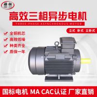 厂家销售YE3132m-4 7.5KW 三相异步电机1460转 国标全铜 质保一年