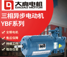 现货供应YBF系列防爆电机 三相异步电动机高压隔爆电机风机用