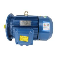 厂家直供100机座电容三相异步电动机 YE2系列立式B5风机配套电机