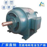 属笼转子型异步电动机JS128-8/155KW破碎机专用高压电机