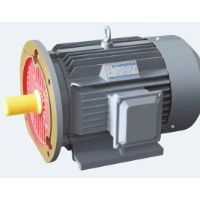 高效三相稀土永磁同步电机ZXYT-132-11KW/3000转