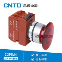 CNTD昌得电气按钮开关指示灯大头带灯按钮 C2PIM4孔径22欧式