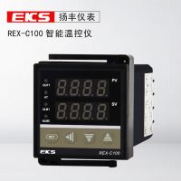 扬丰仪表EKS温控仪REX-C100多输入PID温控表温控器温度控制器