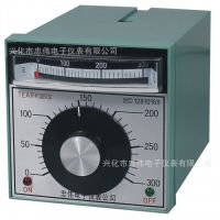 温控表/指针温控仪/TEA-2001 E 0-400/
