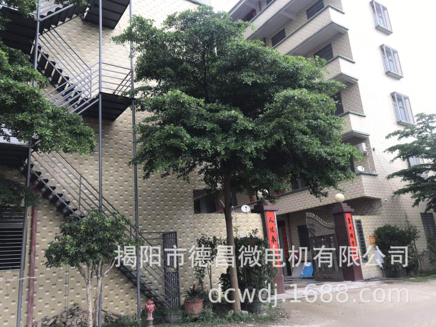 1-365微型电机_03