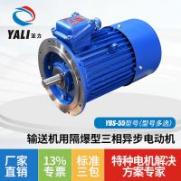厂家江苏YBS-55型号输送机用隔爆型三相异步电动机多规格防爆电机