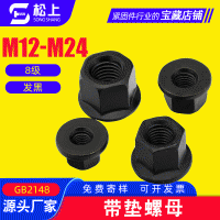 带垫螺母 高强度加硬发黑带垫六角螺母 防滑螺母 压板螺母M16M20