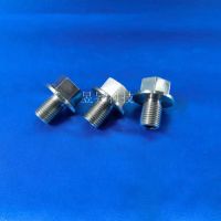 厂家销售钽螺丝钽螺栓钽标准件钽加工件钽紧固件钽螺母