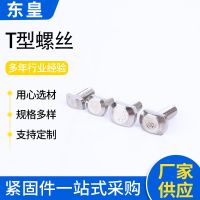 厂家供应GB37304不锈钢T型螺栓 M5/M6/M8/M10槽用T型螺丝