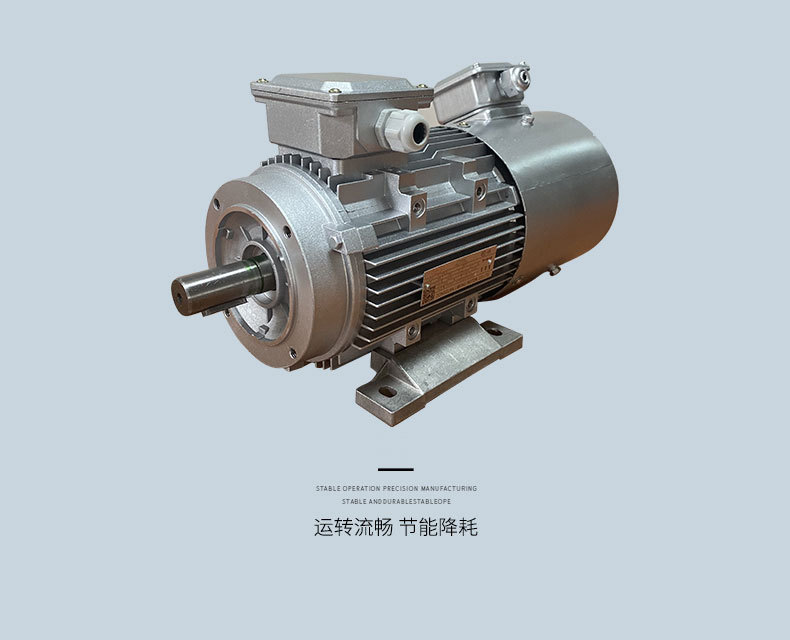 变频电机_05.jpg