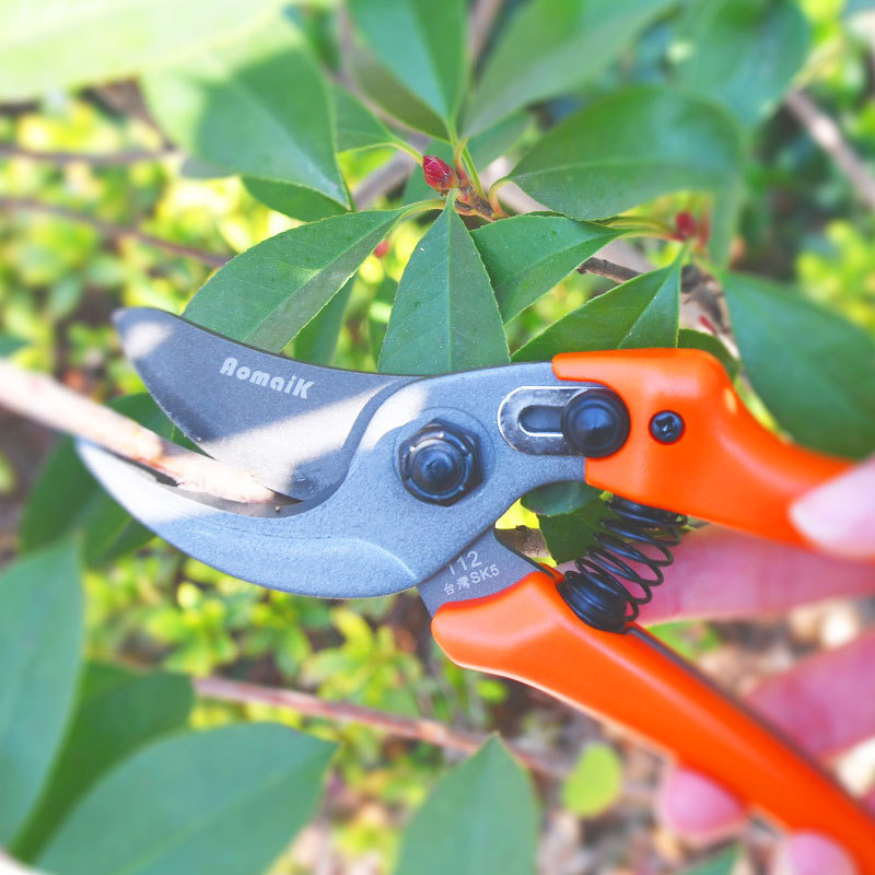 奥迈克112手剪园林园艺工具修枝剪修剪干木硬木果树sk5钢花枝剪刀