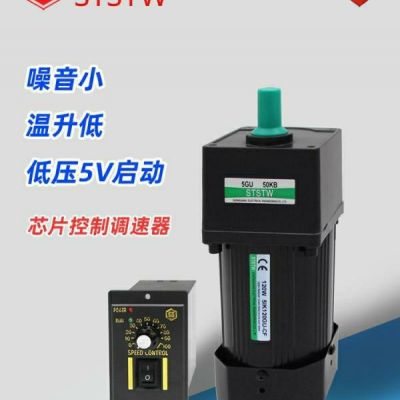 STSTW广东成钢减速电机口罩机专用6W单相220V电机2IK6GN-C/2GN15K图4