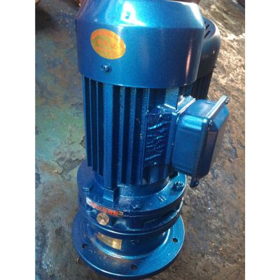 工业行星X摆线减速机 微型摆线针轮减速机 摆线针轮立式减速机图4