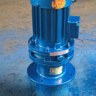 工业行星X摆线减速机 微型摆线针轮减速机 摆线针轮立式减速机图3