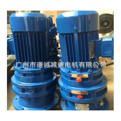 江苏常州立式摆线针轮减速电机BLD4/BLD14/BLD27/BLY27-11-11图2