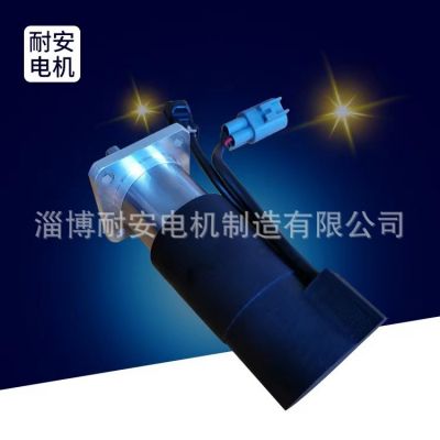 优惠供应微型电机 有刷直流电机 减速电机 永磁直流 进步 特制电图4