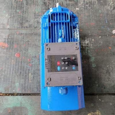 东霸生产YDVF变频变速一体机 实力厂家生产制造东霸传动同轴式图4