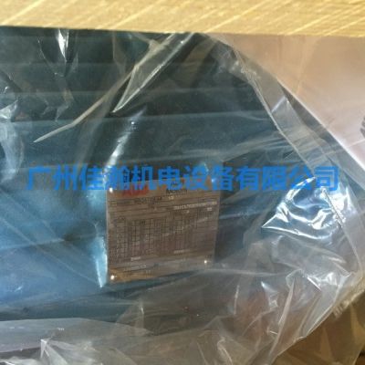 原装 ABB特殊电机 M3BP315SMC6图3