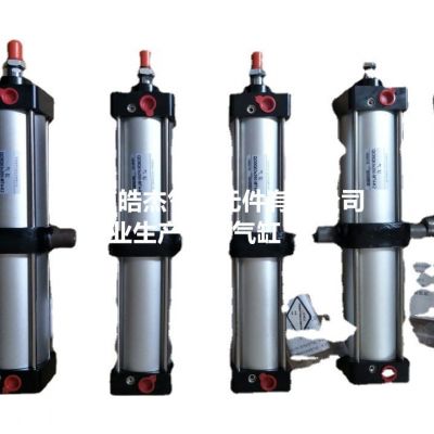 QGBQ125*800-K带磁环标准气缸图5