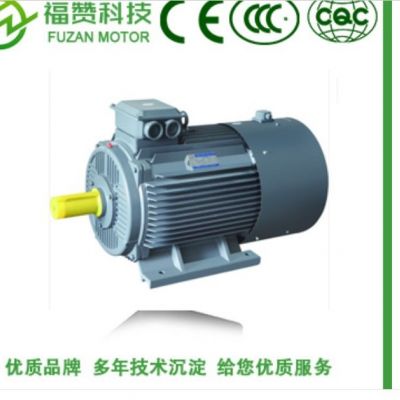 SF-90感应伺服电机|伺服主轴电机|异步 厂家质保图2