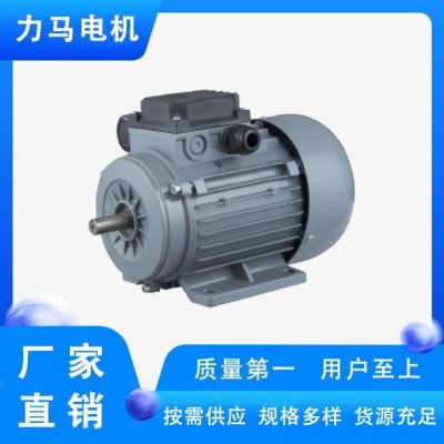 YLJ56-0.1-2 卷绕型单相力矩电机 异步电动机 维护方便 运行平稳图2