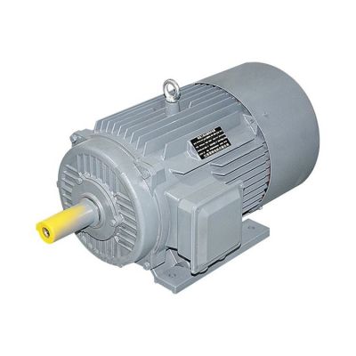 常特电机 永磁同步电机超节能三相异步电动机YE3-200L-4 30KW图5