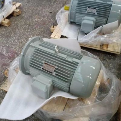 YE3三相异步电动机，现货库存，生产周期短，永达防爆电机图4