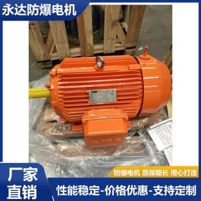 YBBP系列隔爆型变频调速三相异步电动机 防爆微特电机 永达防爆电机图5