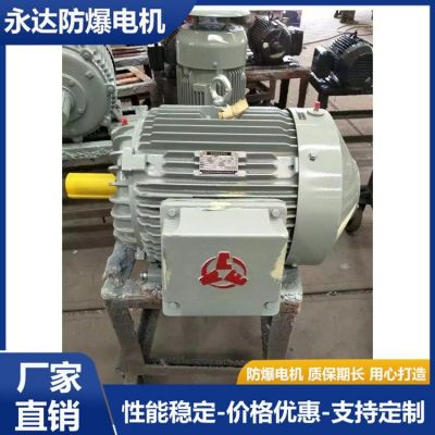 YBBP系列隔爆型变频调速三相异步电动机 防爆微特电机 永达防爆电机图2